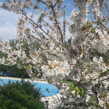 3 Chambres Piscine Aout Cevennes 度假居